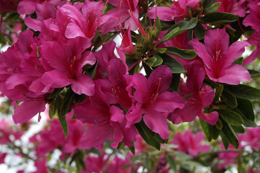 Similar image 1433783