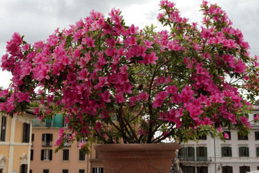 Similar image 1433784