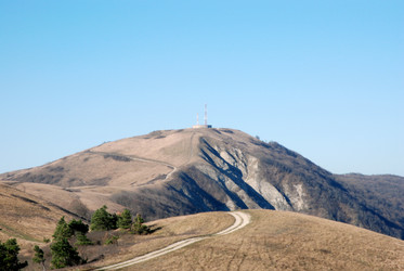 Similar image 1433785