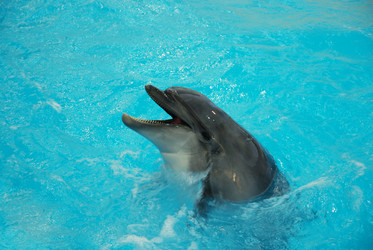 Similar image 1433924