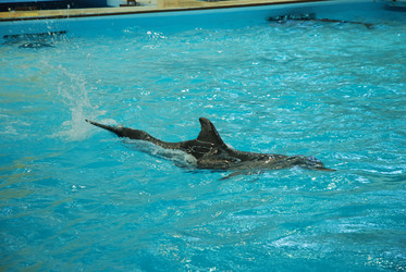 Similar image 1433925