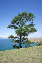 Similar image 1434112