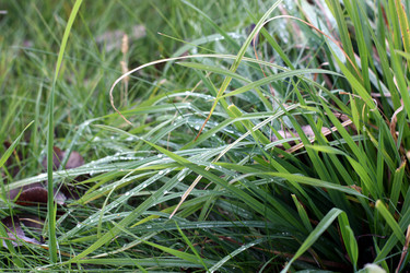 Similar image 1434357