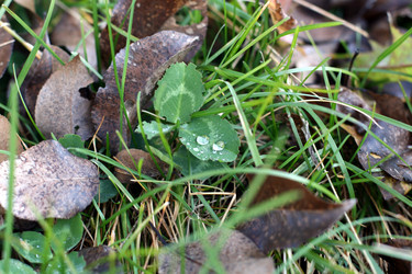 Similar image 1434358