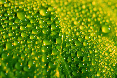 Similar image 1434371