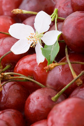 Similar image 1434394