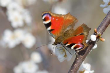 Similar image 1434395