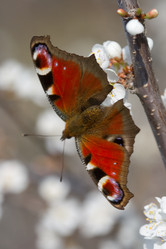 Similar image 1434401