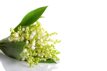 Similar image 1434402