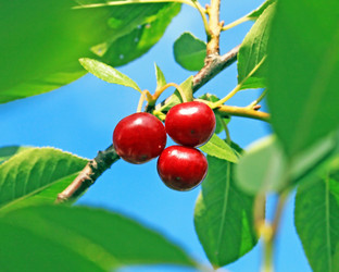 Similar image 1434410