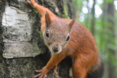 Similar image 1434422