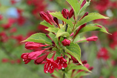 Similar image 1434423