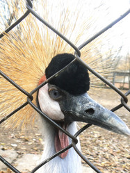 Similar image 1434425