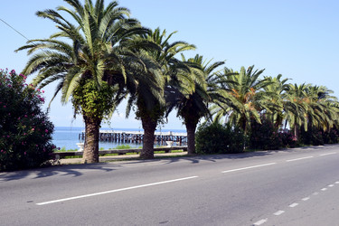 Similar image 1434434