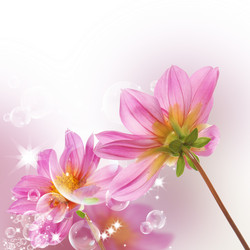 Similar image 1434444