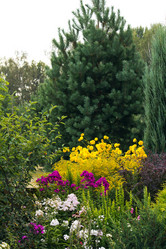 Similar image 1434457