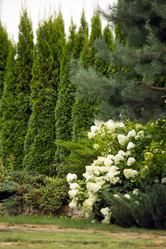 Similar image 1434458