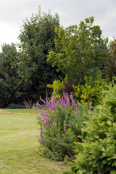 Similar image 1434475