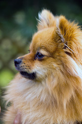 Similar image 1434476