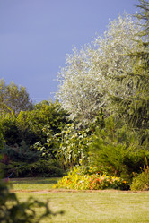 Similar image 1434477