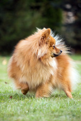 Similar image 1434478