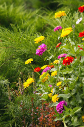 Similar image 1434480