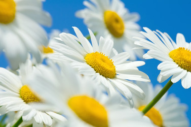 Similar image 1434494