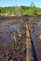 Similar image 1434496