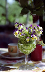 Similar image 1434500