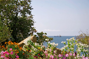 Similar image 1434502