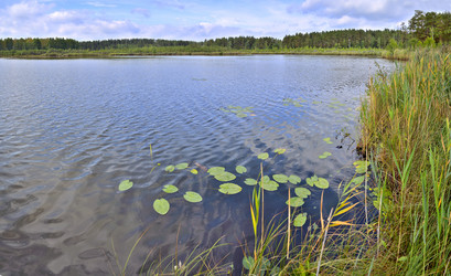 Similar image 1434505