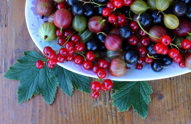 Similar image 1434509