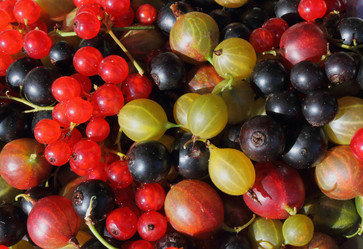 Similar image 1434510