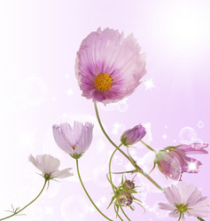 Similar image 1434528