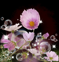 Similar image 1434529