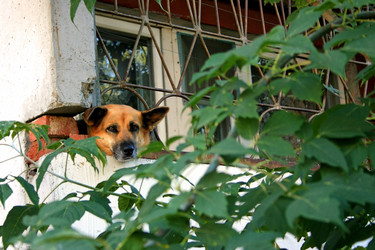 Similar image 1434534