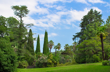 Similar image 1434542