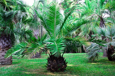 Similar image 1434545