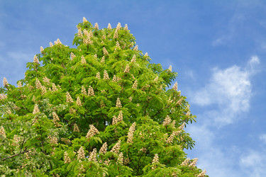 Similar image 1434559