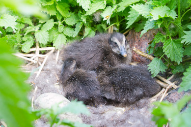 Similar image 1434575