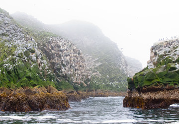 Similar image 1434578