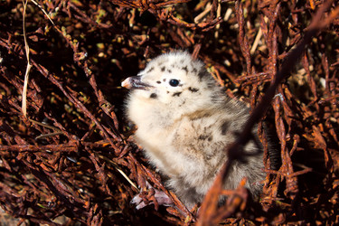 Similar image 1434584