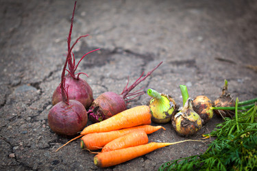 Similar image 1434601