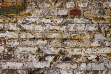 Similar image 1434633