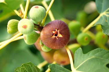 Similar image 1434653