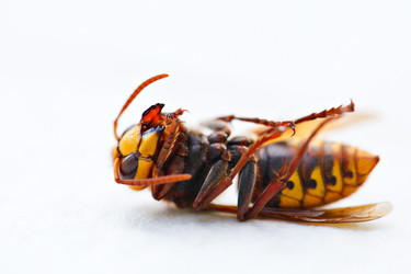 Similar image 1434655