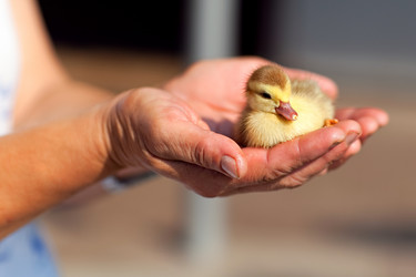 Similar image 1434661