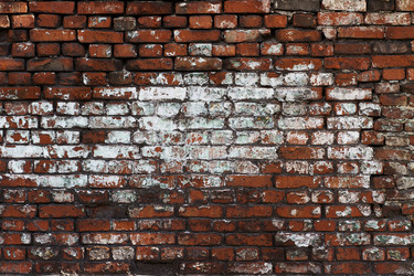 Similar image 1434676