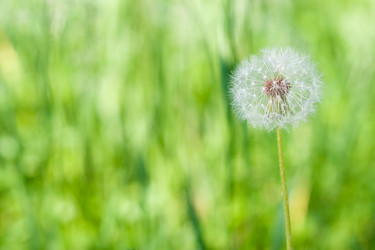 Similar image 1434973