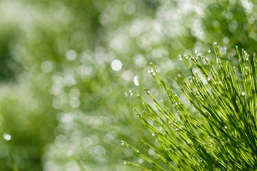 Similar image 1435013